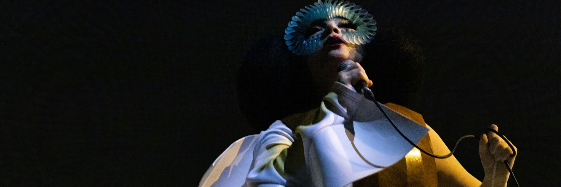 Björk: Cornucopia
