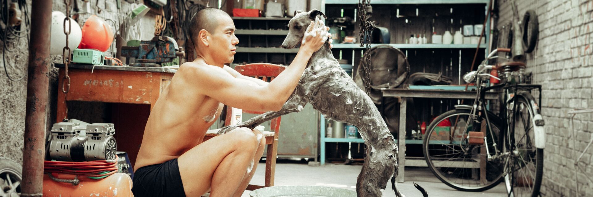 Poster: Black Dog