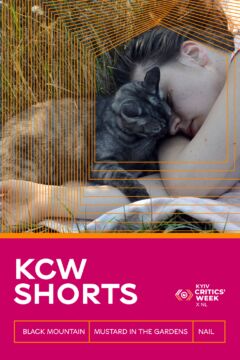 Kyiv Critics Week Shorts