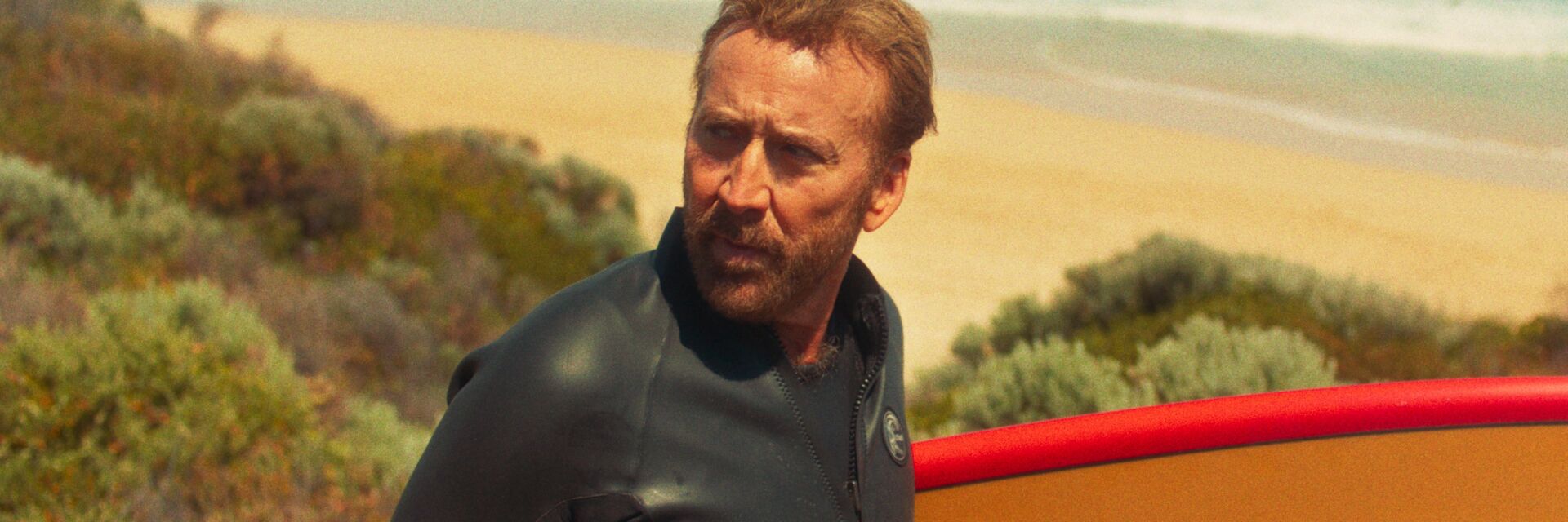 The Surfer